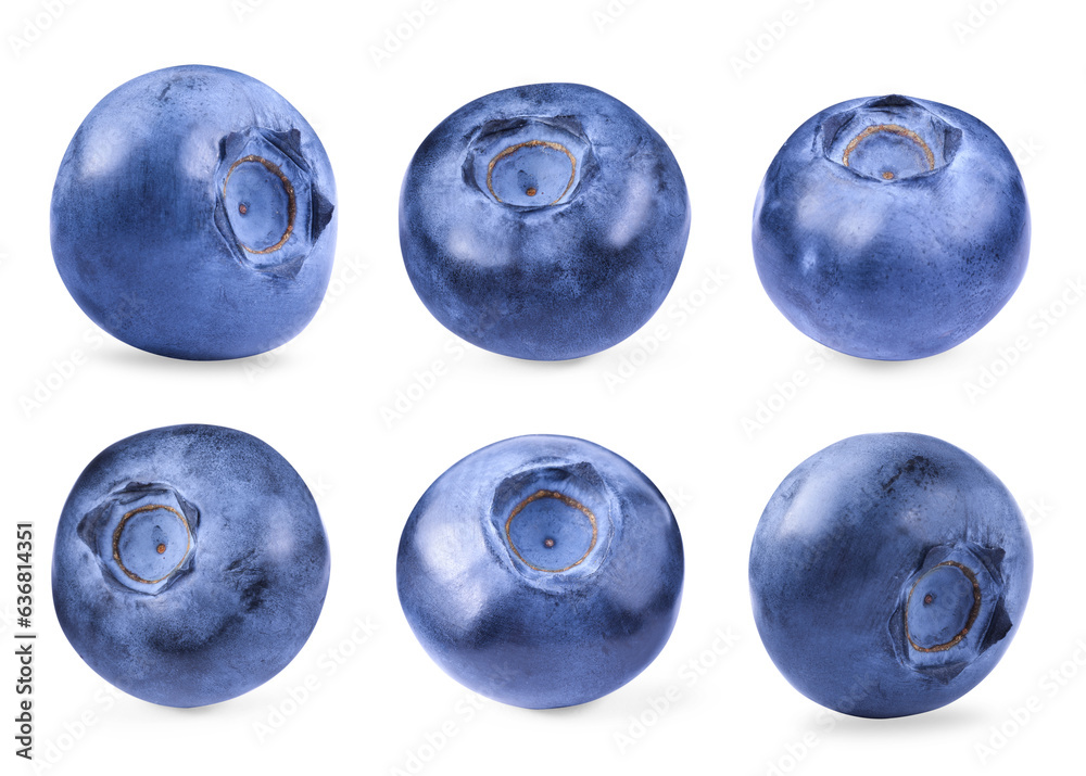 Set with fresh ripe blueberries isolated on white Set with fresh ripe blueberries isolated on white