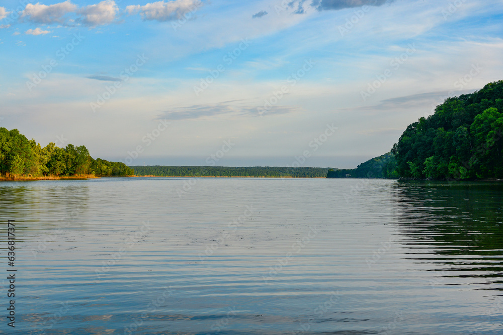 lake and forest lake and forest
