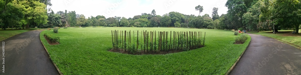 Fototapeta premium Beautiful flower garden