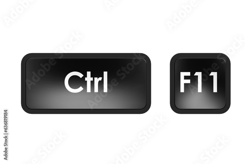 Keyboard shortcut with control and F11 button