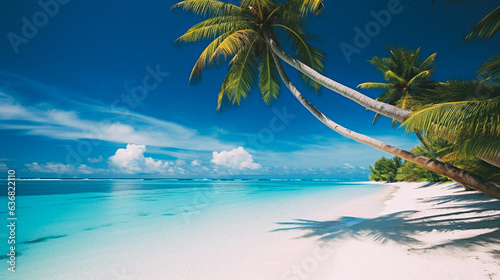 Tropical beach and palm trees, The Maldives, Indian Ocean © Ricardo Costa