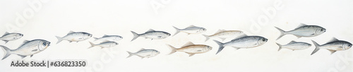 A Minimal Watercolor Banner of a Row of Fish on a White Background