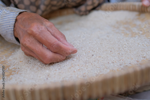 Asian old woman winnowing rice using a traditional basket to clean the rice from the husks, ensuring the rice is pure before cooking