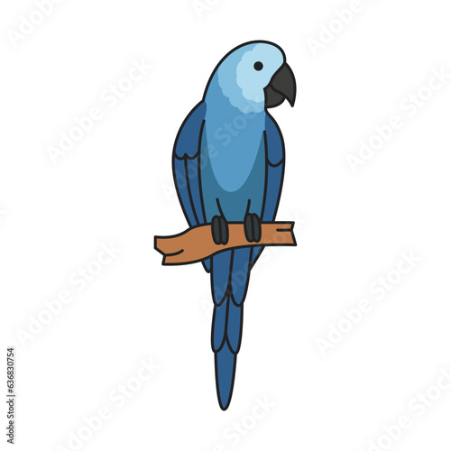 spix macaw bird isolated icon vector illustration design vector illustration design photo