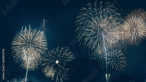 夏の夜に舞い上がるきれいな花火の星