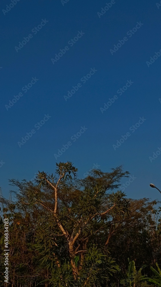Urban Oasis: Tranquil Residential Landscape with City Skyline and Lush Greenery Urban Oasis: Tranquil Residential Landscape with City Skyline and Lush Greenery