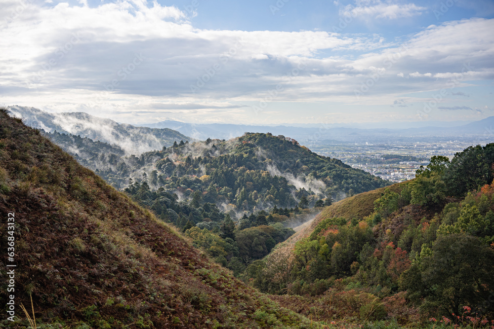 Naklejka premium landscape with sky