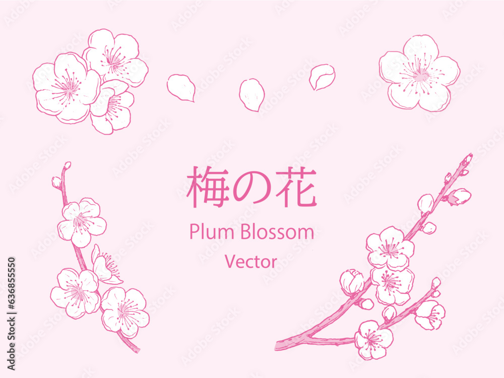 シンプルな梅の花のペン画セット　ピンク単色　ベクター	