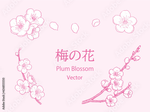 シンプルな梅の花のペン画セット　ピンク単色　ベクター	