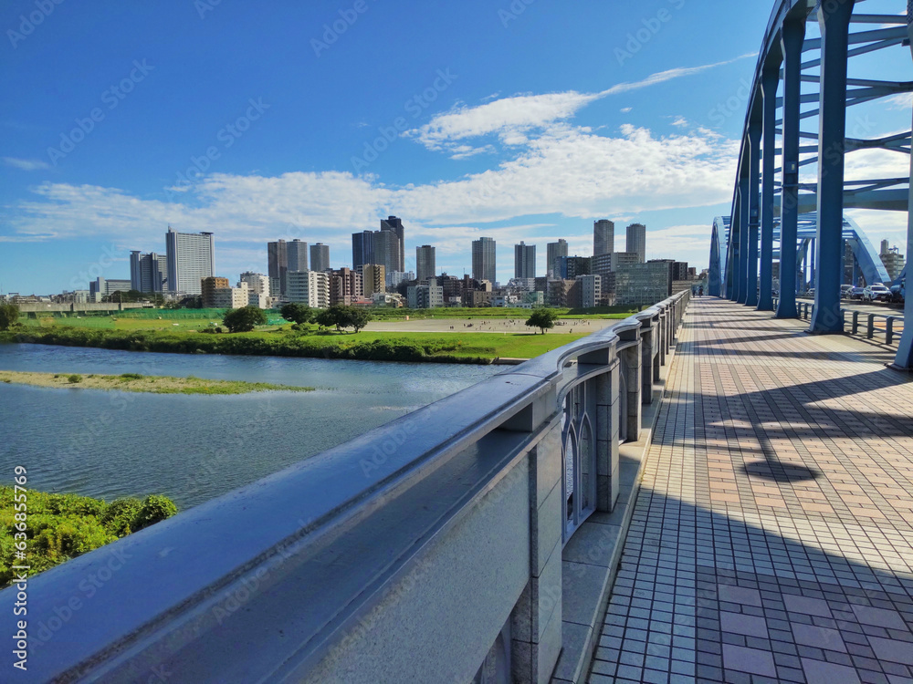 武蔵小杉 遠景 丸子橋東詰から望む