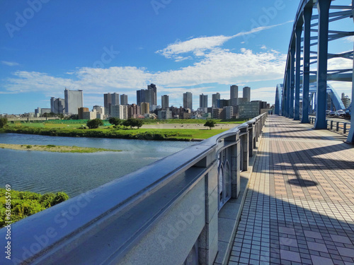 Fényképezés 武蔵小杉 遠景 丸子橋東詰から望む
