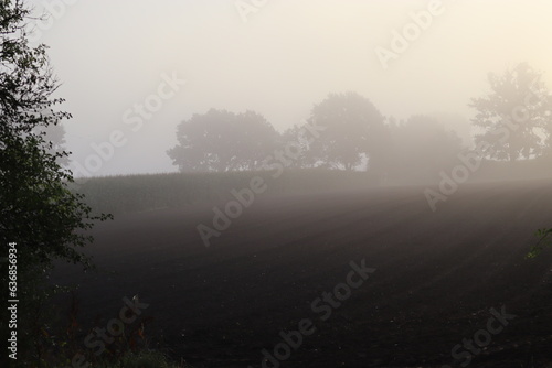 Feld mit Nebel