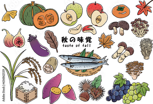 秋の味覚　手描き線画イラストセット