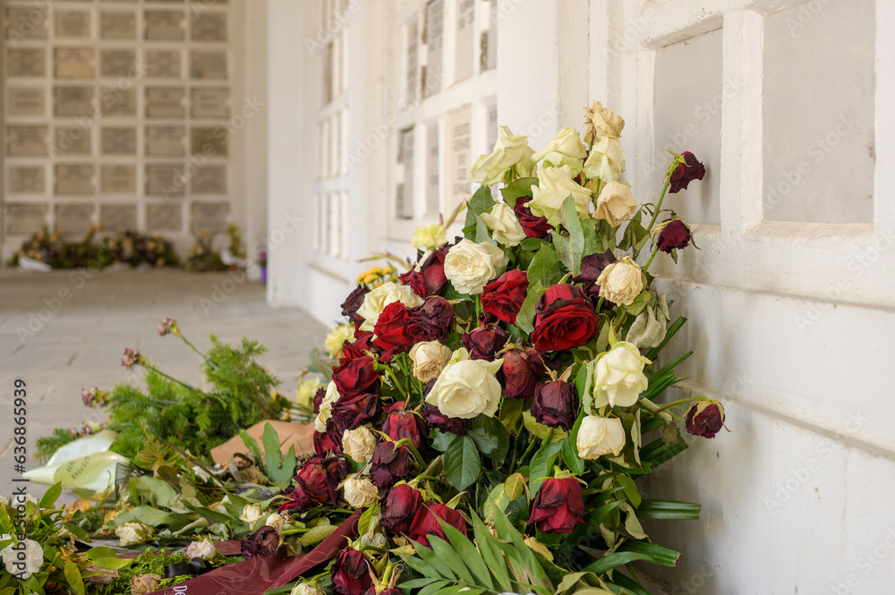 Abgelegte Rosen vor einer Urnenwand