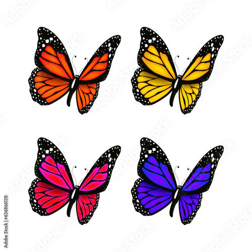 Vector colorful butterfly realistic isolated on white background