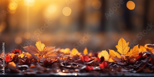 Beautiful autumn landscape background with colorful orange and yellow foliage in the park at sunset, blurred forest and maple tree and pines, thanksgiving season concept, banner with space for text © Alan