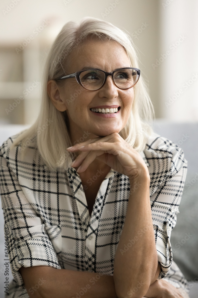 Cheerful dreamy beautiful mature woman in glamour glasses sitting on couch with chin on hand, looking away, smiling at good thoughts, thinking on retirement plans. Vertical casual portrait Cheerful dreamy beautiful mature woman in glamour glasses sitting on couch with chin on hand, looking away, smiling at good thoughts, thinking on retirement plans. Vertical casual portrait