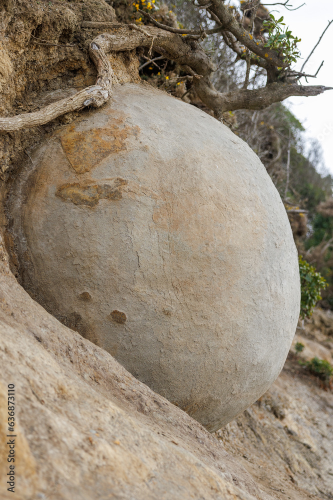 Cliffside boulder at moeraki boulders Cliffside boulder at moeraki boulders