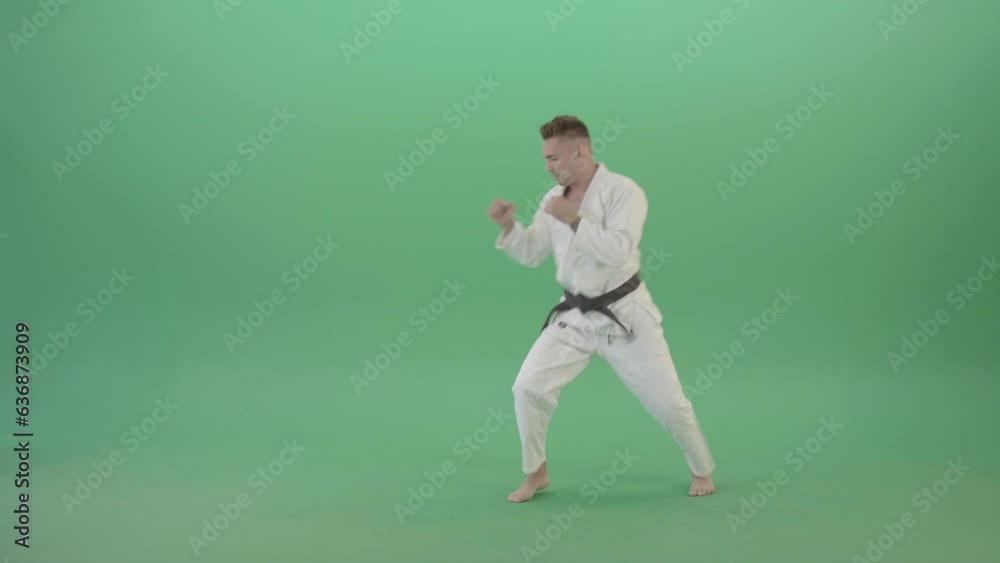 Karate man fighting with shadow on side view isolated on green screen 4K Video Karate man fighting with shadow on side view isolated on green screen 4K Video