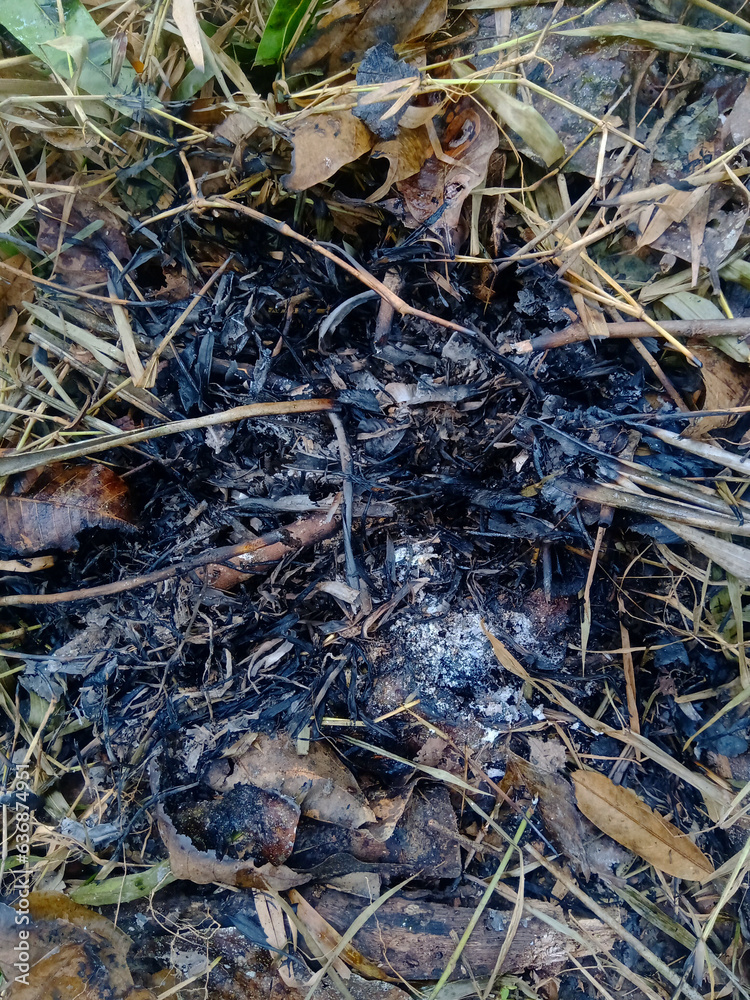 Ashes of grass on the ground. Ashes of grass on the ground.