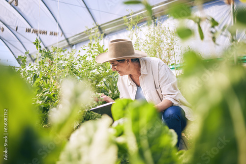 Tableau sur toile Plants, greenhouse and woman on farm with sustainable business checklist, nature and happiness in garden