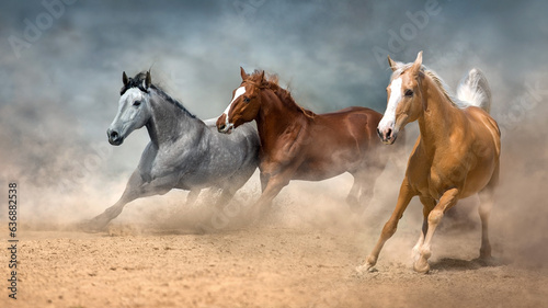 Horse herd run in desert