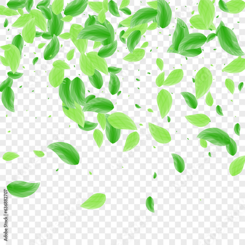 Greenish Vegetation Background Transparent Vector. Plant Beauty Texture. Abstract Illustration. Green Drink Design. Sheet Concept.