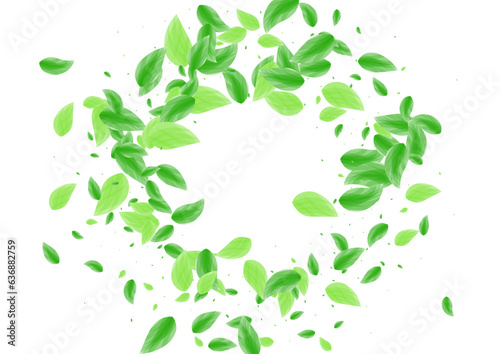 Greenish Plant Background White Vector. Sheet Vivid Card. Air Texture. Light Green Fresh Design. Leaves Realistic.