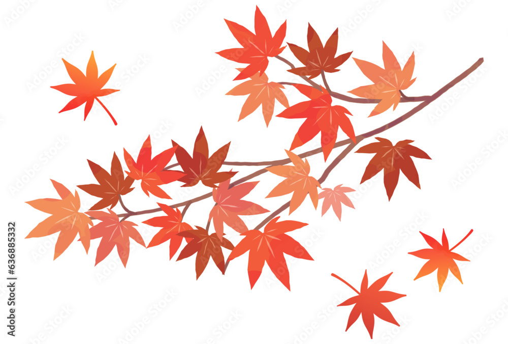 鮮やかな秋の紅葉のシンプルイラスト