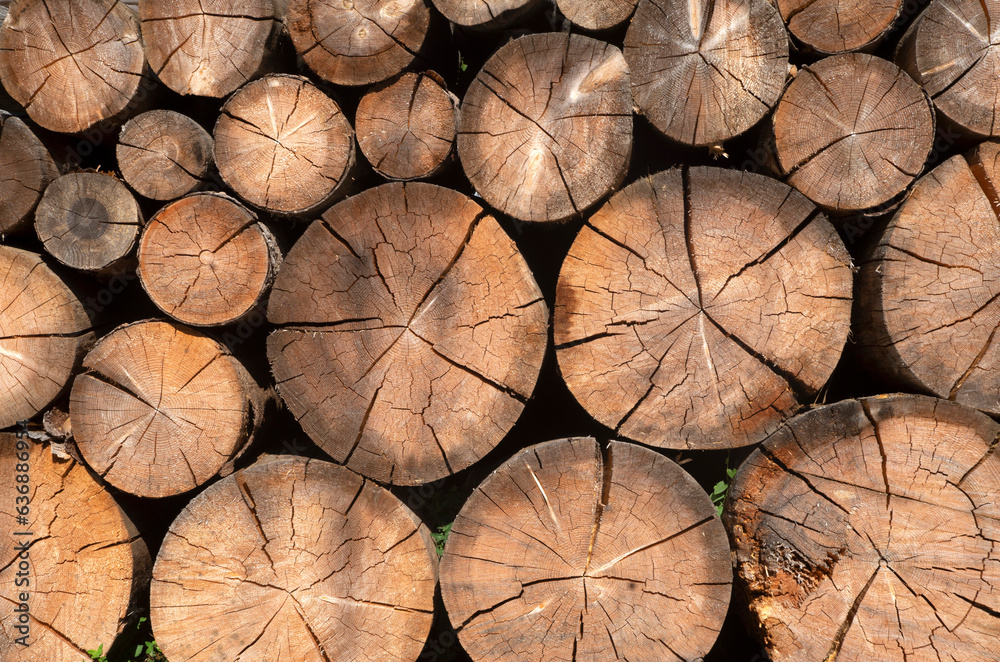 Naklejka premium Pile of old cracked pine logs close