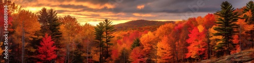 Panoramic view of autumn forest with colorful trees at sunset.