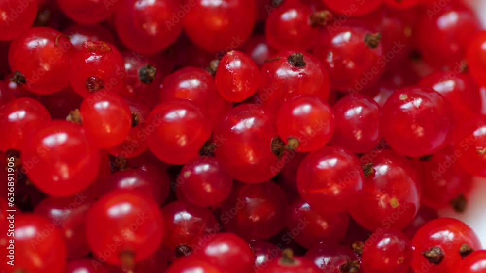 close-up of ripe currant berries in a plate rotation .selective focus. red currant macro. making desserts from berries close-up of ripe currant berries in a plate rotation .selective focus. red currant macro. making desserts from berries