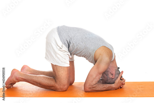 hatha yoga asana photo