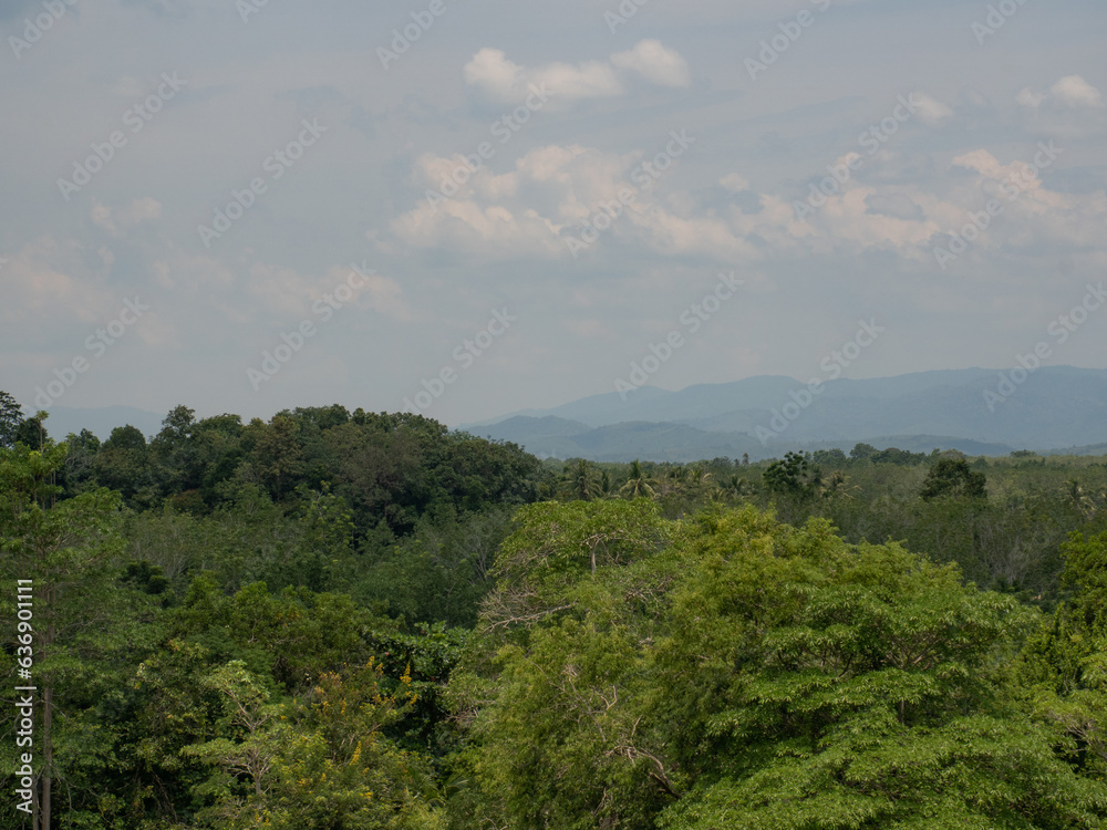 landscape of high mountains covered with trees. blue sky is full of clouds.	
