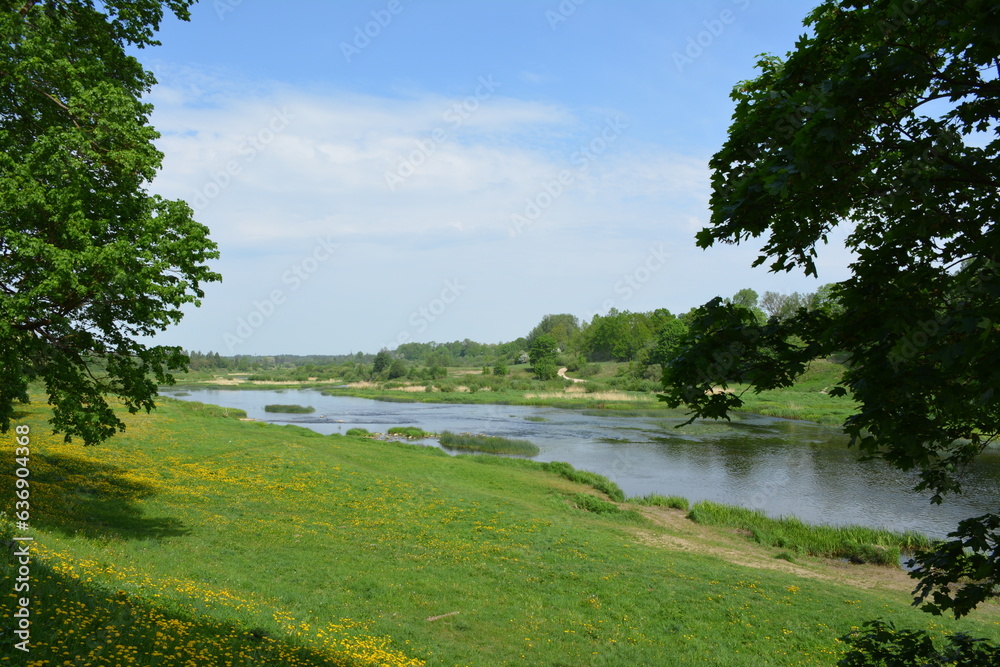 Fototapeta premium lake in the forest