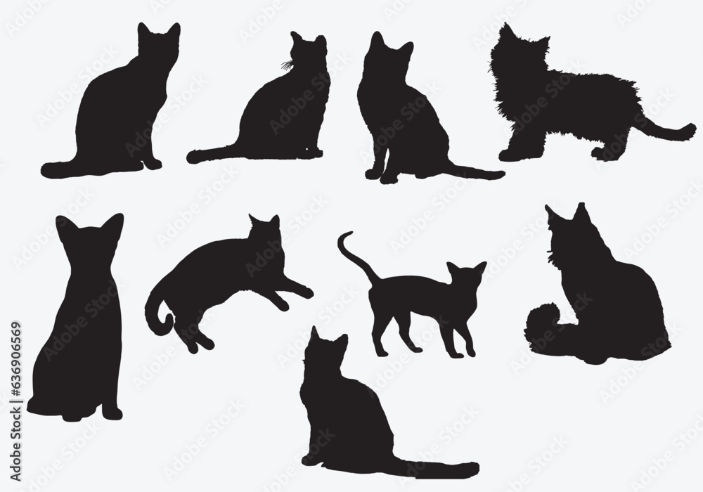 Set of cat Silhouette on a white background