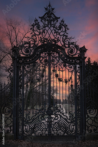 Ancient mysterious wrought metal gate  