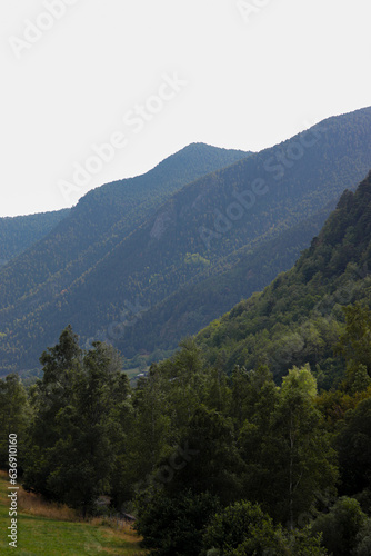 Vistas a las verdes montañas © Guillem