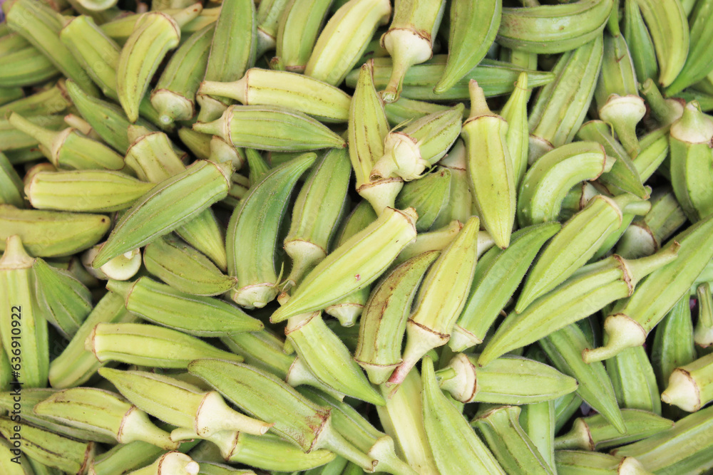 fresh green okra in turkey market fresh green okra in turkey market