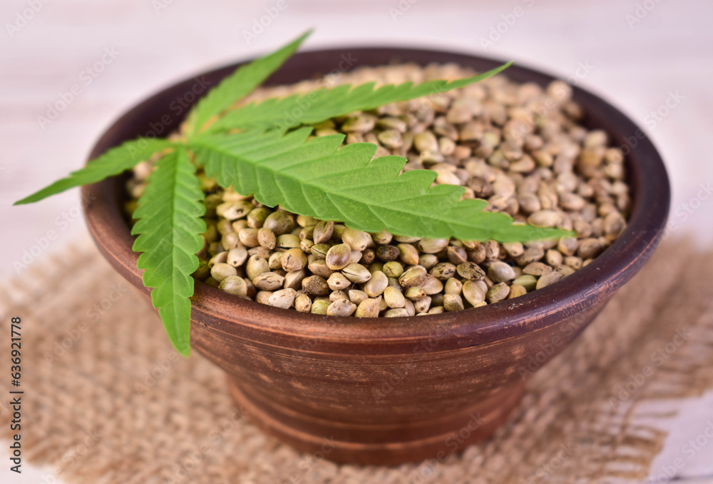 Hemp seeds in a clay bowl. Close-up. Useful hemp seeds.
Hemp seeds in a clay bowl. Close-up. Useful hemp seeds.