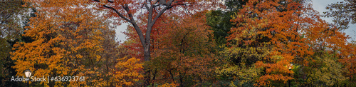 Autumn in Central Park © John Anderson