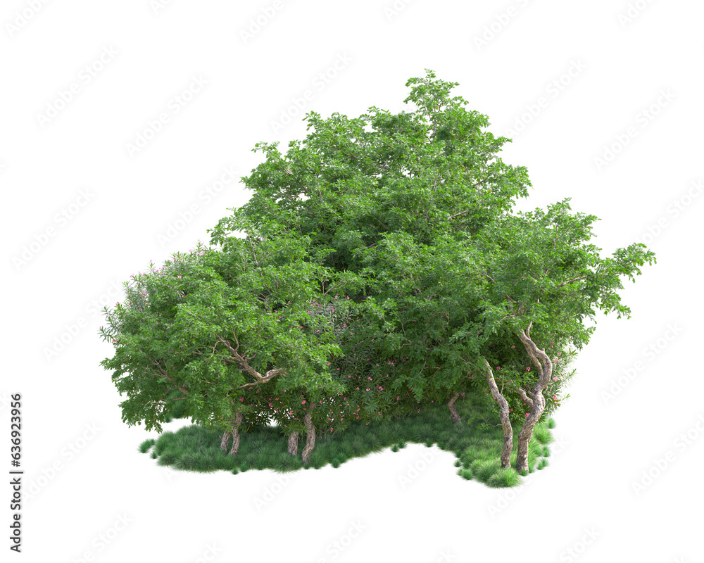 Obraz premium Green landscape isolated on transparent background. 3d rendering - illustration