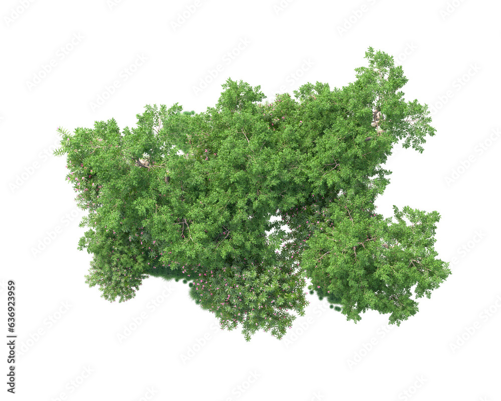 Green landscape isolated on transparent background. 3d rendering - illustration Green landscape isolated on transparent background. 3d rendering - illustration