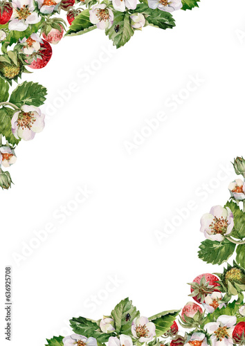 Summer rectangular floral frame with flowering plants and ripe strawberries. Corner fruit composition. Hand drawn watercolor illustration on white background for cards, menu, banner, labels, print.
