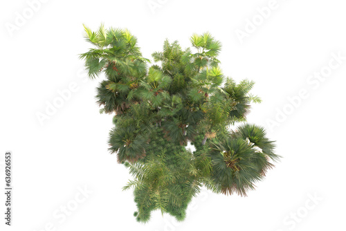 Green landscape isolated on transparent background. 3d rendering - illustration