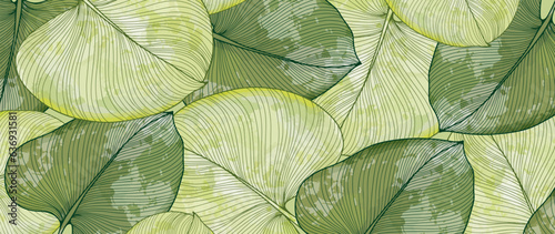 Tropical green background with large leaves. Abstract background for decor  covers  postcards and presentations.