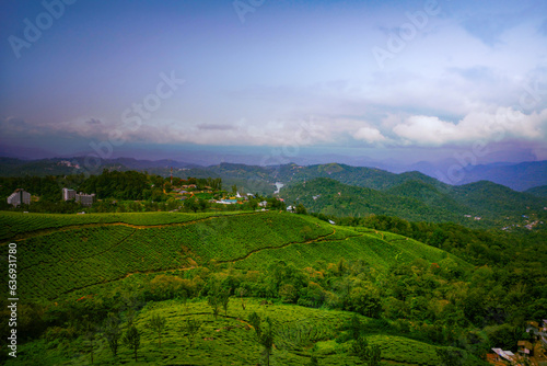 Tea Plantation in Munnar, Kerala, India. Munnar is one of the most popular tourist destinations in India.