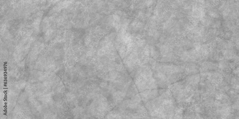 Grunge background black and white. Texture of chips, cracks, scratches, scuffs, dust, dirt.Abstract black and white gritty grunge background.white and black cement texture for background Grunge background black and white. Texture of chips, cracks, scratches, scuffs, dust, dirt.Abstract black and white gritty grunge background.white and black cement texture for background