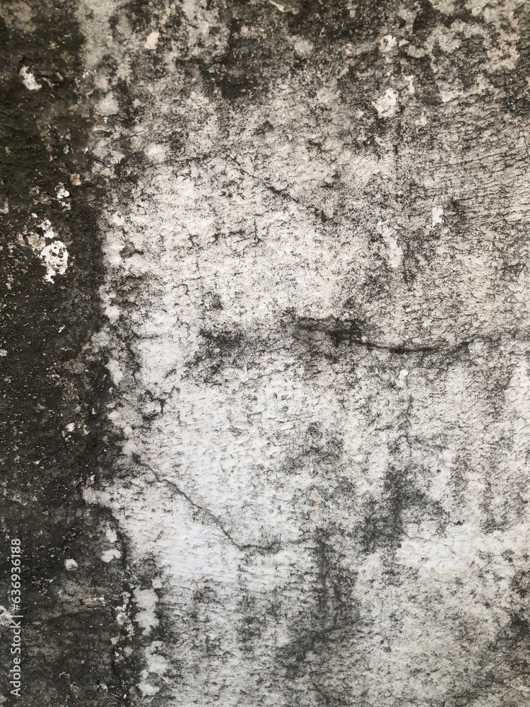 wall, grunge, background, dirty, surface wall, grunge, background, dirty, surface