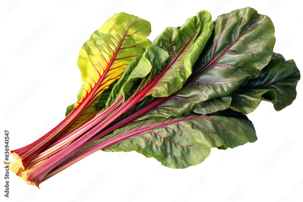 Rainbow chard. isolated object, transparent background